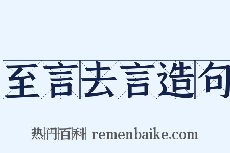 至言去言造句是什么意思的图片
